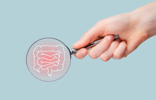 What the Gut Microbiome Is and Why It Matters for Health