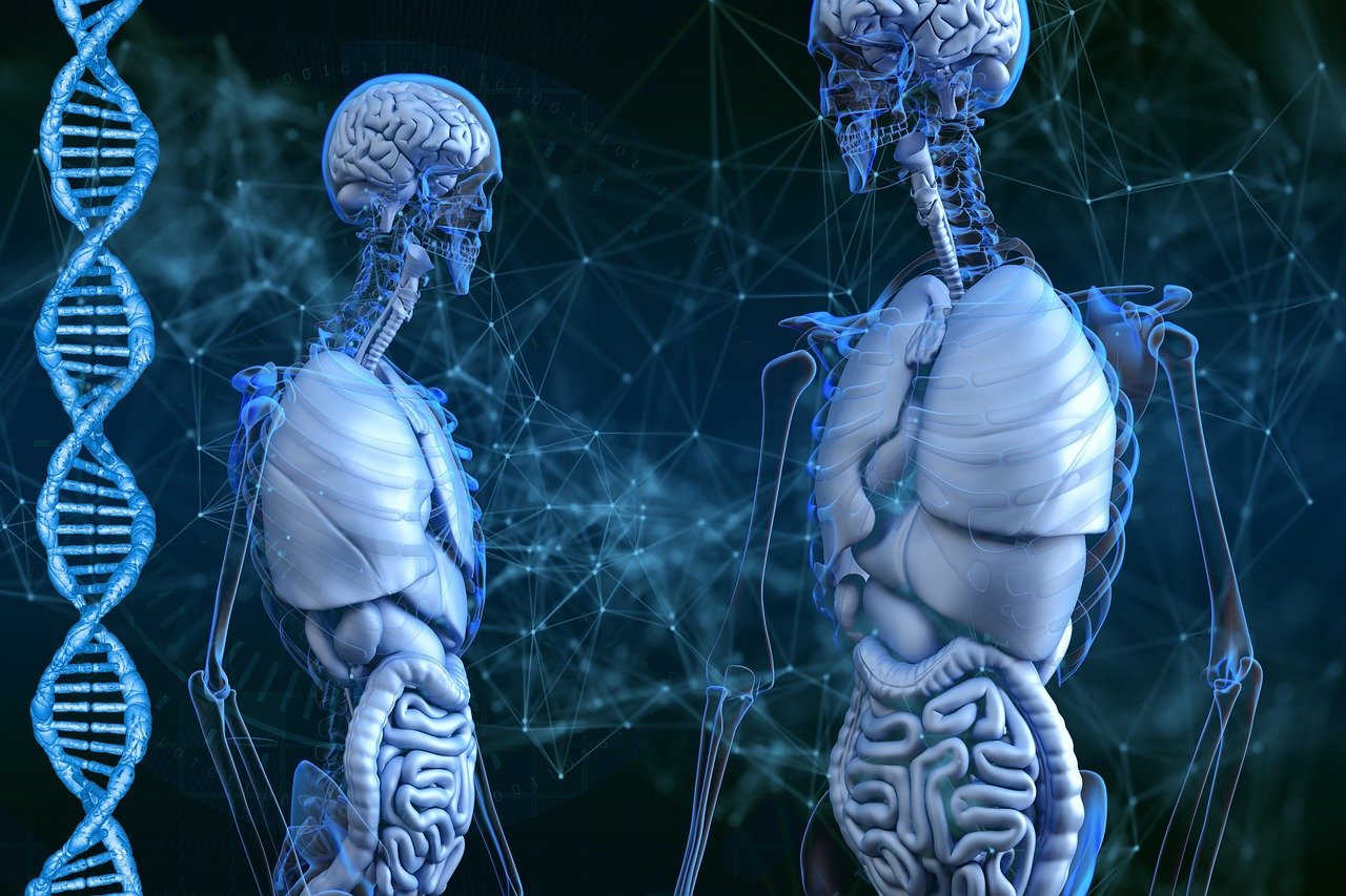 Can Your Gut Communicate With Your Brain? Understanding the Link