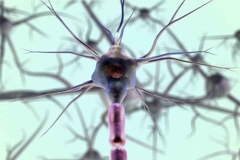 Early Signs of Parkinson’s Disease: Awareness and Key Symptoms