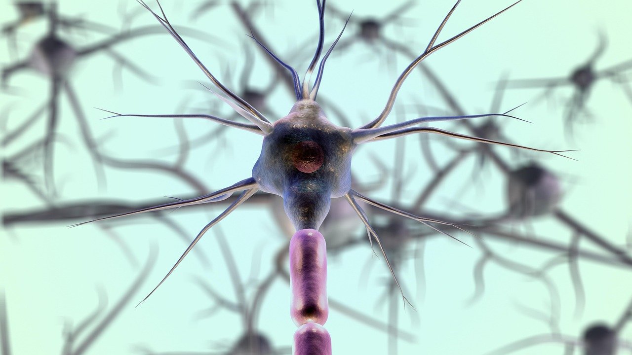 Early Signs of Parkinson's Disease: Awareness and Key Symptoms